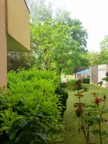 Peace Home - Image 3