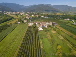 Agriturismo Famiglia Cois - Image 5