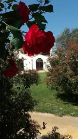 Masseria Colle Carro - Image 5