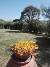 Le Pergoline B&B - Image 2