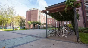 Agnes Jones House - Campus Residence - Image 4