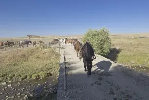 TA Guest Ranch - Image 4