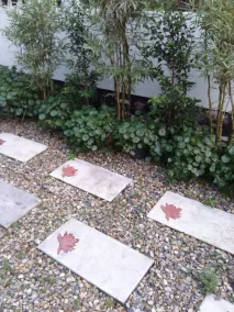 Home Stay Chiangmai Baan Chao Mhon - Image 3