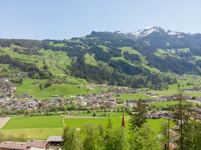 Stefan Hippach-schwendberg - Image 5
