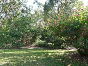 Bushland Cottages and Lodge - Image 3