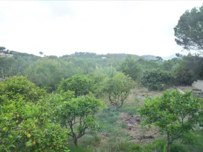 Villa Son Quint - Image 5