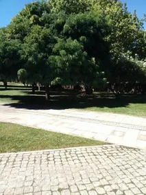 Casa Dos Bordados - Image 4