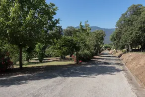 Camping Les Couchants - Image 5