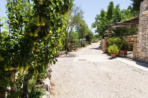 Residenze Fusaro 2 - Image 5