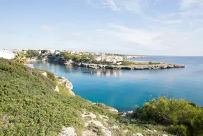 Molinet - Image 5