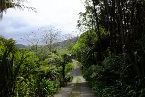 Fern Lodge - Image 4