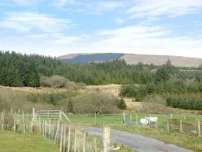 Denis's Cottage - Image 4