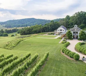 Hollymead House Inn/Bed & Breakfast - Image 4