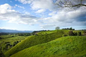 Tasman Hill Lodge - Image 4