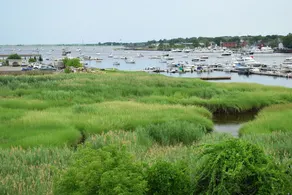 The Inn At Rings Island - Image 3