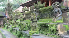 ZEN Premium Ubud Hanoman II - Image 5