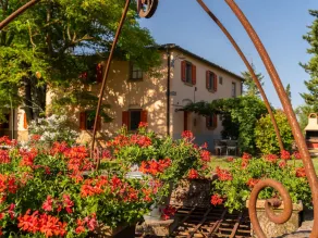 Familienfreundliche schöne Wohnung mit Terrasse, Grill und Garten | Haustiere sind willkommen - Image 5