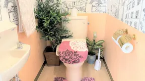 Rose Terrace Bise - Image 2