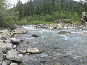 Mt Baker Lodging Cabin 60 - Sleeps 2 - Image 5