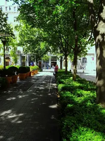 Labourselyon - Image 4