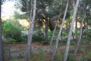 House In The Mediterranean Forest - Image 2