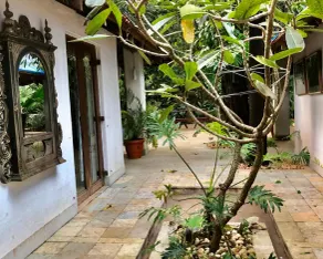 Mango Farm House Awas - Image 2