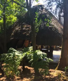 Summit Lodge - Image 5