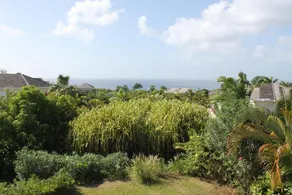 Sugar Hill Coconut Ridge 5 by Altman - Image 5