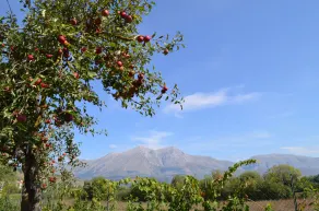 Villa Palentina Country House - Image 3