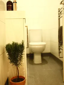 Fishponds Place 353b - Image 5