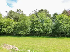 The Old White Cottage - Image 4
