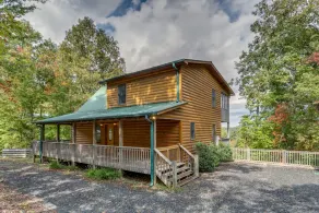 Treetops - Image 5