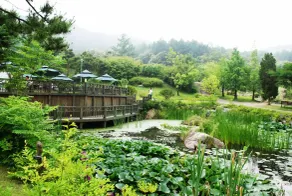 Haeyeorim Village - Image 2