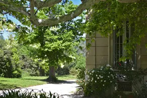 Campagne Saint Jean De Matha - Image 5