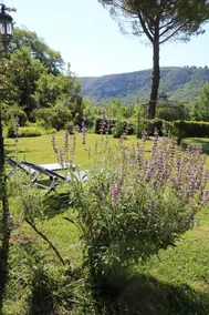 The Soleïade - Image 3