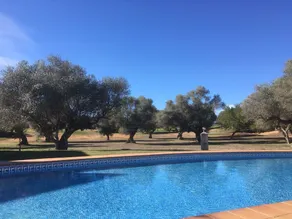 Apartment With in Sant Jordi With Wonderful Mountain View - Image 2