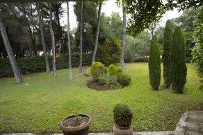 Araucaria Villa - Image 3