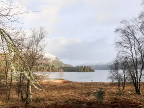 Merlin - Image 3