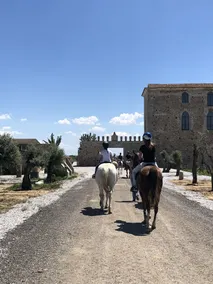 Oliveirinha Country House - Image 4