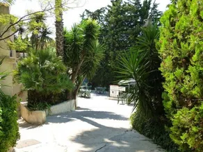 Camping Panoramic - Image 4