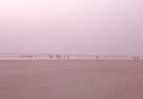 Tranquil Coast Resorts - Image 4
