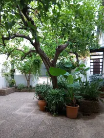 Las Jimenas - Image 5
