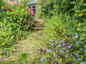 Bridleways Cottage - Image 5