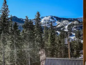 Thunderhead Lodge #301 - Image 5