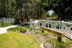 Honeybee Country Accommodation - Image 4