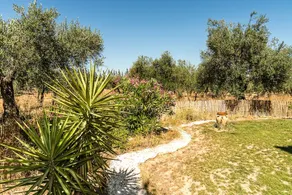 Finca Casa Halcon - Image 2