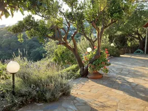 Paradise Found - A Greek Retreat With The View - Image 4