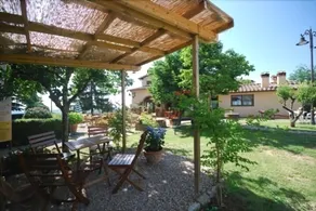 Lory 1 - Image 3