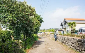 Seogwipo Haengbok Pension - Image 4