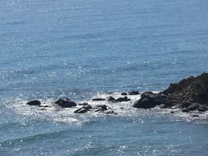 Castelletto Beach - Image 3